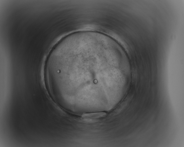 X0000100931480200807151233