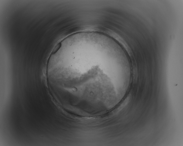 X0000100931481200807151233