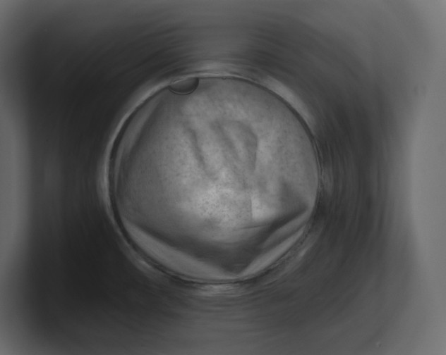 X0000100931482200807151233