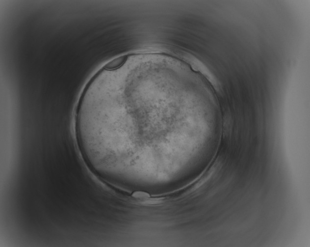 X0000100931484200807151233