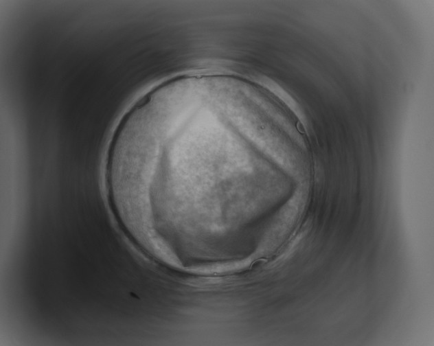 X0000100931485200807151233