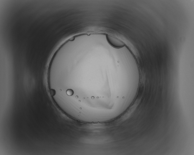 X0000100931486200807151233