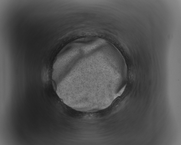 X0000100931490200807151232