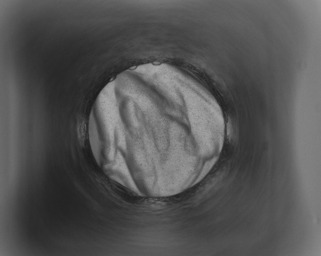 X0000100931492200807151232