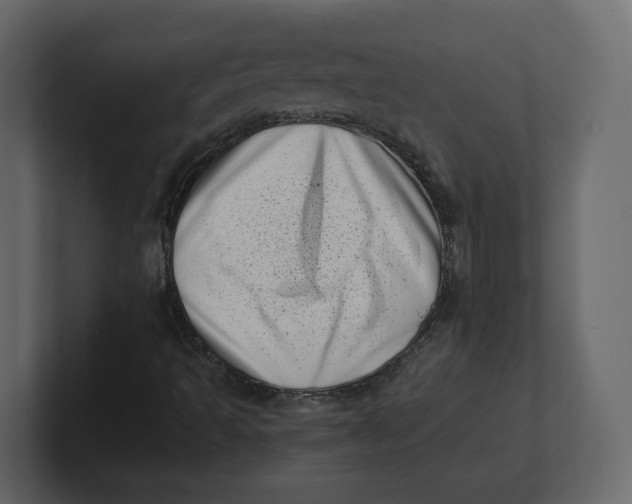 X0000100931493200807151232