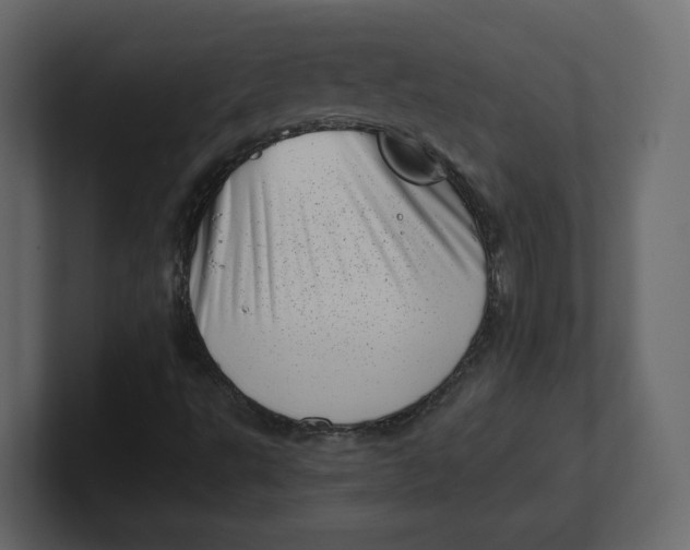 X0000100931495200807151232