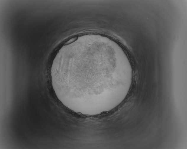 X0000100931496200807151232