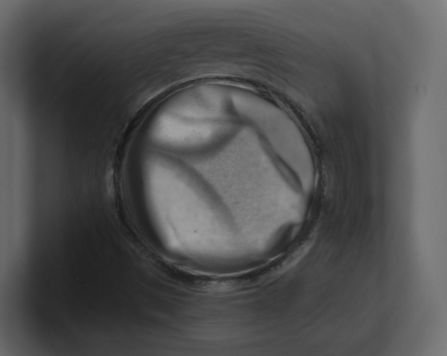 X0000100931497200807151232