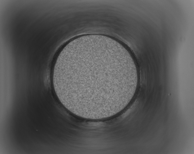 X0000100931498200807151232