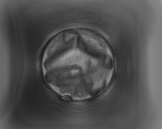 X0000100931501200807151232