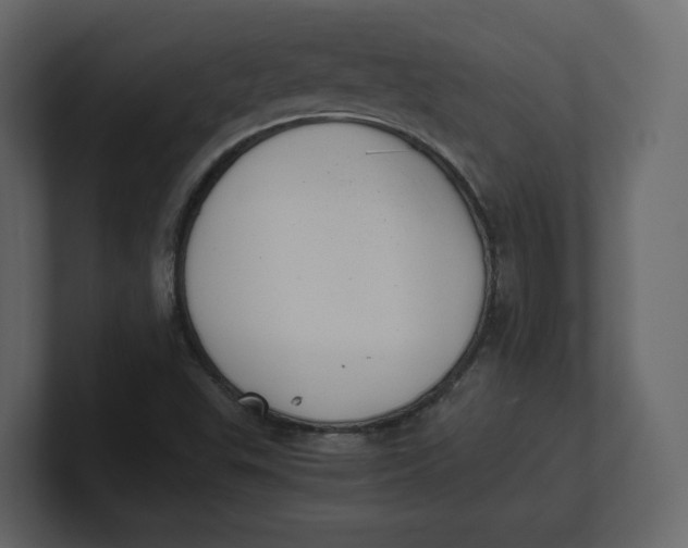 X0000100931503200807151232