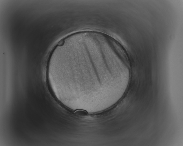 X0000100931504200807151232