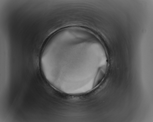 X0000100931505200807151232