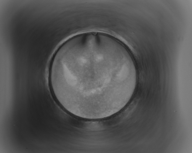 X0000100931508200807151232