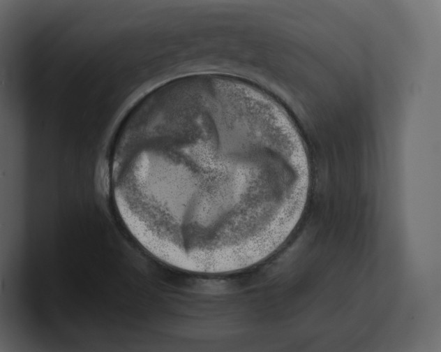 X0000100931509200807151232