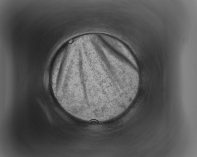 X0000100931511200807151233