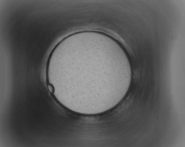 X0000100931512200807151233