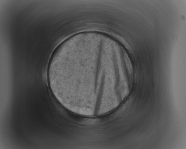 X0000100931513200807151233