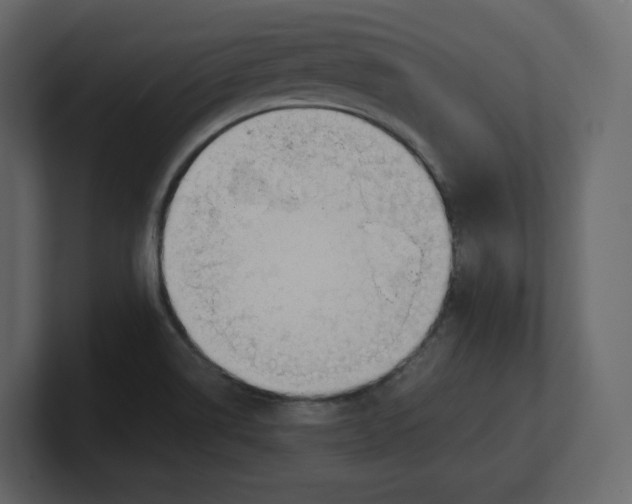 X0000100931514200807151233