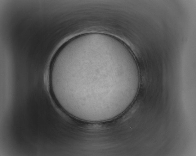 X0000100931515200807151233