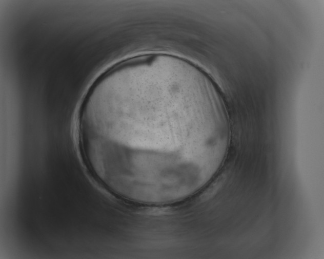 X0000100931519200807151233