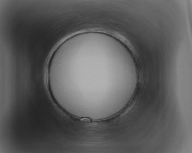 X0000100931520200807151233