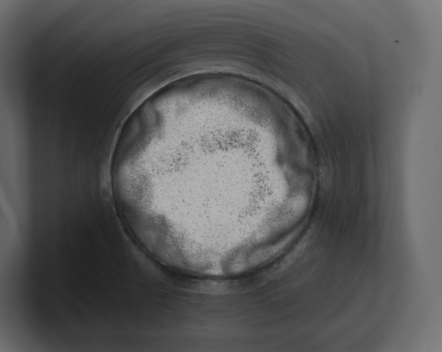 X0000100931521200807151233