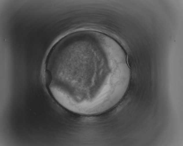 X0000100931522200807151233