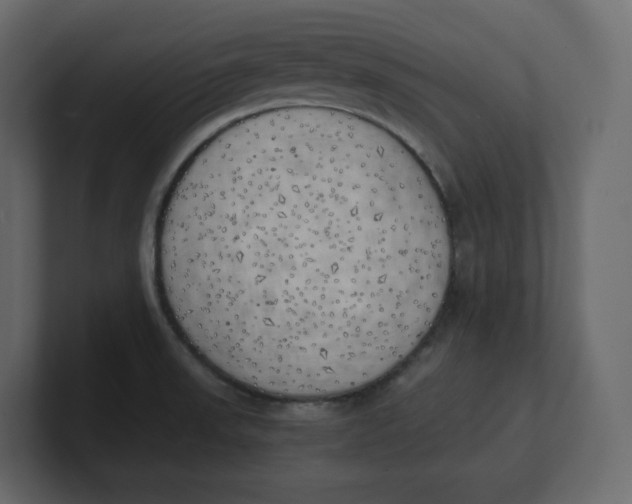 X0000100931523200807151233