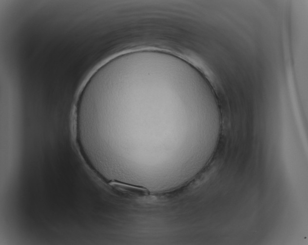 X0000100931524200807151233