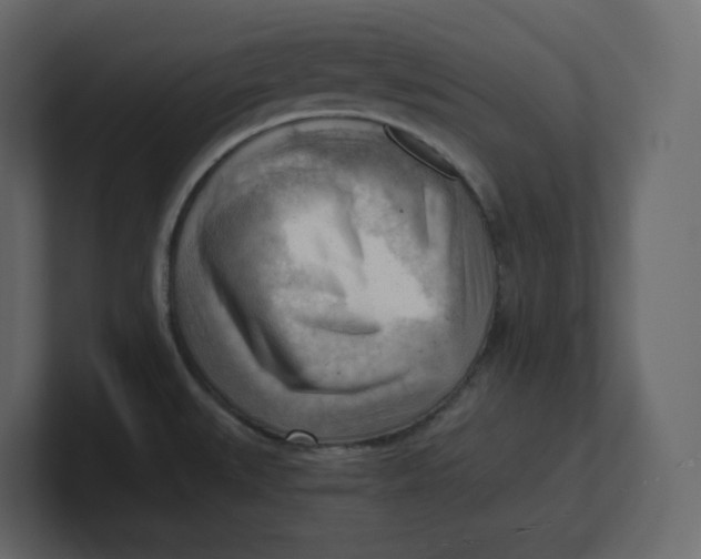 X0000100931527200807151233