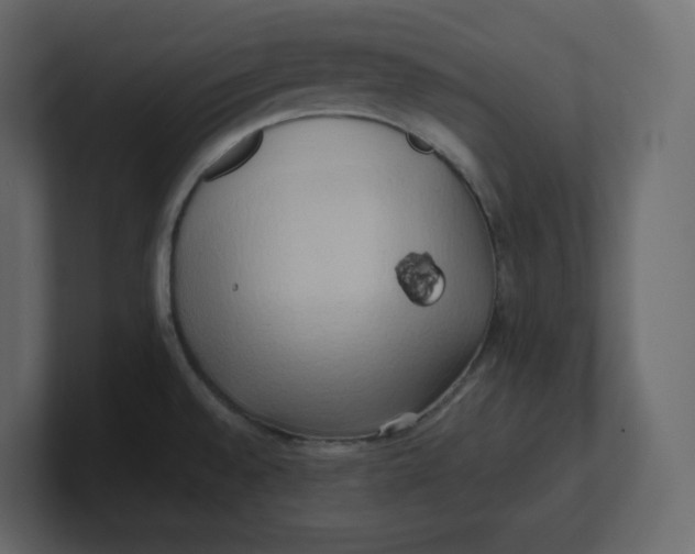 X0000100931528200807151233