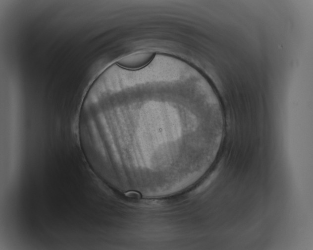 X0000100931529200807151233