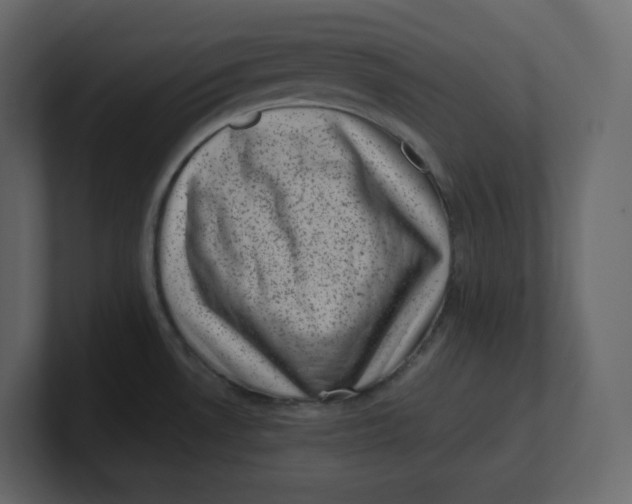 X0000100931530200807151233