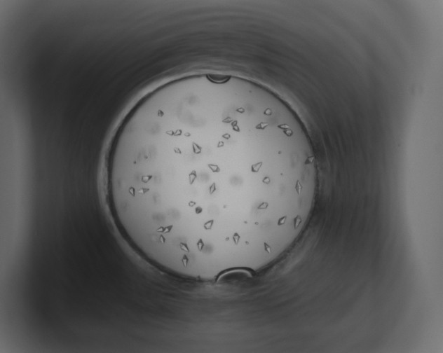 X0000100931531200807151233