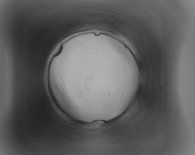 X0000100931532200807151233