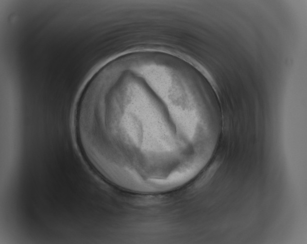 X0000100931533200807151233