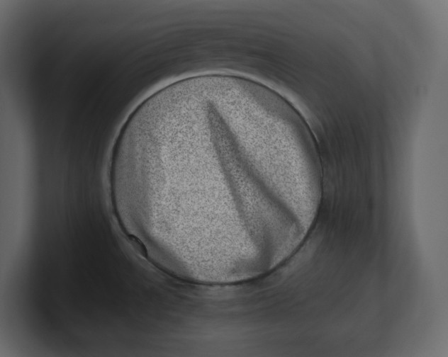 X0000100931534200807151233