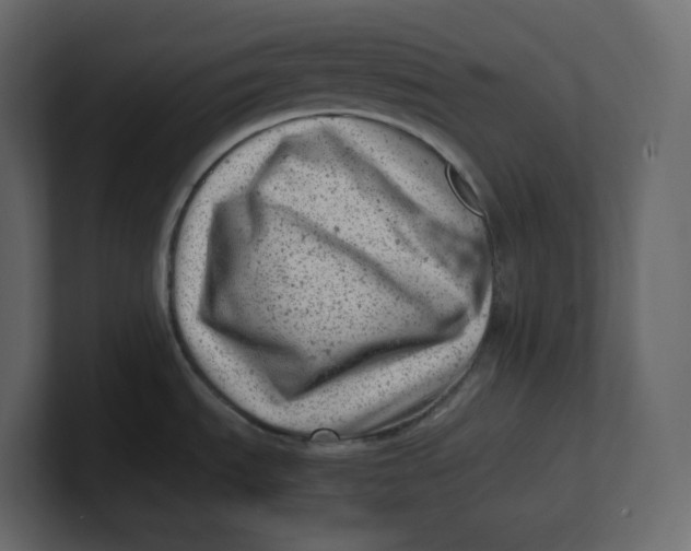 X0000100931535200807151233