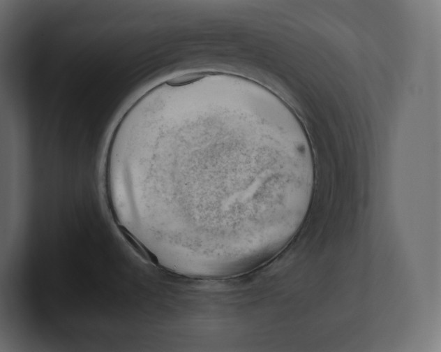 X0000100931536200807151233