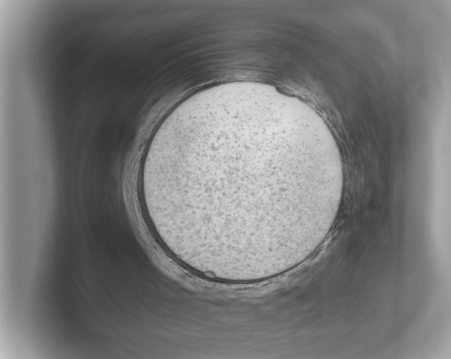 X0000100930001200807221146