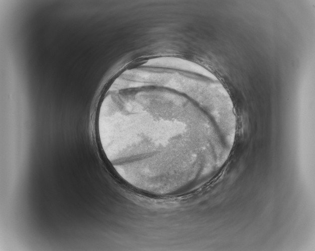 X0000100930004200807221146