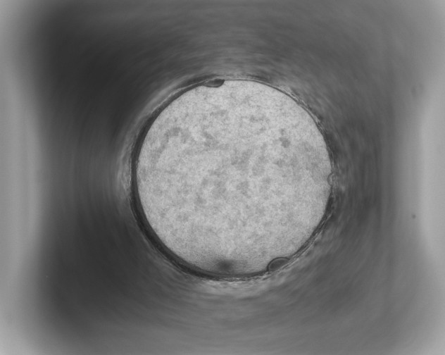 X0000100930005200807221146