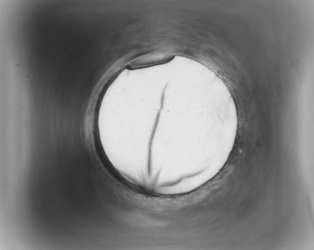 X0000100930007200807221146