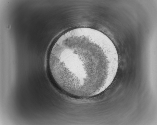 X0000100930012200807221146