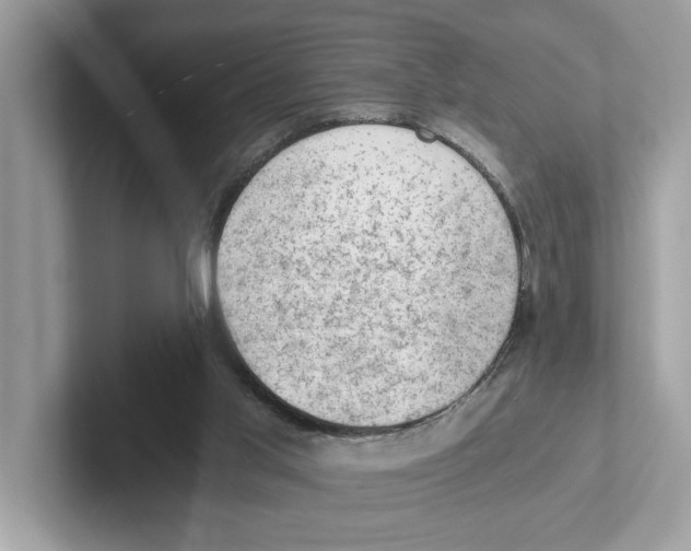 X0000100930013200807221146