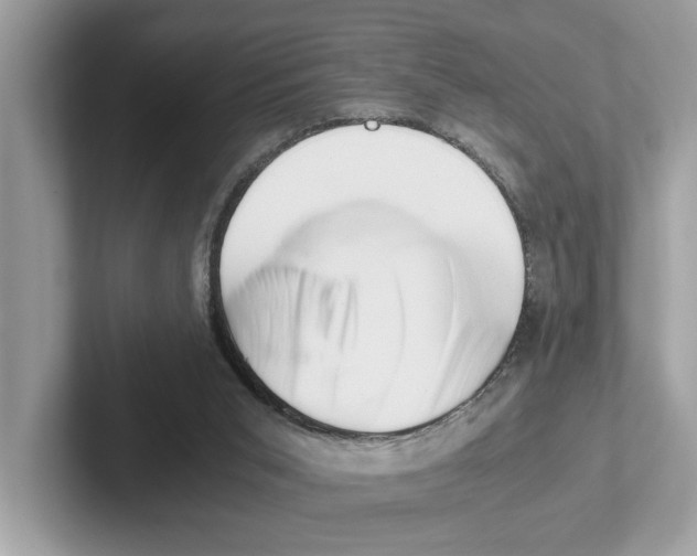 X0000100930015200807221146