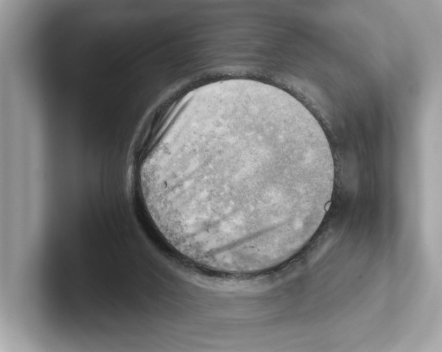 X0000100930016200807221146