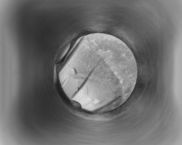 X0000100930020200807221146