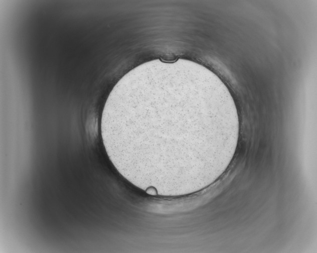 X0000100930021200807221146